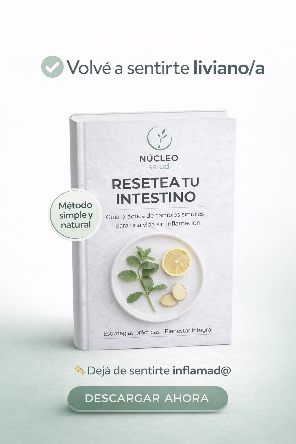 Resetea tu Intestino | Guía práctica para mejorar tu digestión y reducir la inflamación